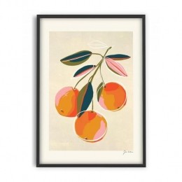 PSTRstudio-Zoe-Oranges