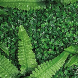 ReptoAquadistriplantachterwandmat40-60cm1ReptoAquadistri-Aquadistri
