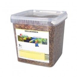 Meelwormen5liter-Surencollection