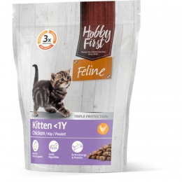4xHobbyFirstFelineKitten