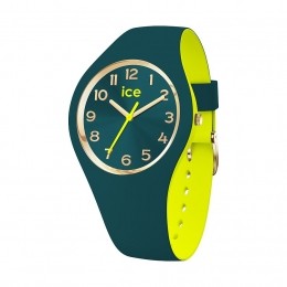 ICEWatchDameshorlogeice023280