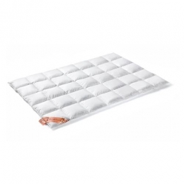 VandyckExcellent650Winterdekbed200x200cm