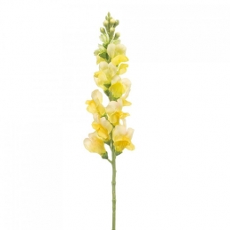 FleurdirectKunstbloemAntirrhinum--Polyester-0x78x0cmBxHxD