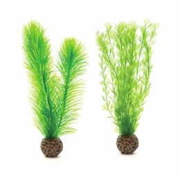 Mannetjesvarensetkleingroen-Biorb