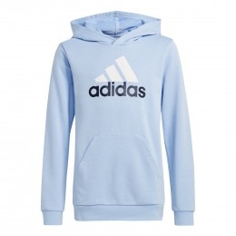adidasEssentialsBigLogoHoodieKidsLichtblauwWitZwart