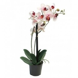 PhalaenopsisOrchideeinpot50cmrozekunstplant-Novanature