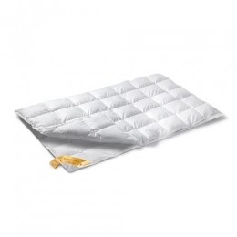 VandyckAstro904-seizoenenDekbed240x220cm