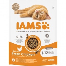 IAMSKatKittenJuniorKip800gr