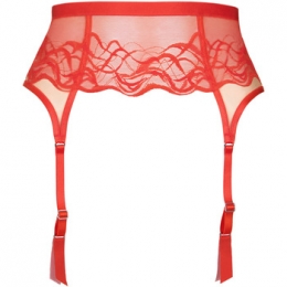 JarretelsLiscaJarretelgordelDione