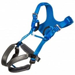 Ocun-KidsDoppler-CompletegordelmaatOneSizeblauw
