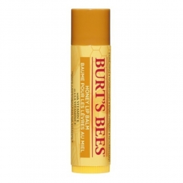 BurtsBeesLipbalmHoney