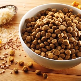 alsa-natureVegetarisch12kg