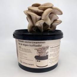 OutletBRotterzwamgrowkit-zelfoesterzwammenkweken-WarentuinCollection