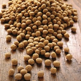 alsa-naturePuppyenJunior3kg