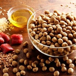 alsa-natureNierdieet6kg