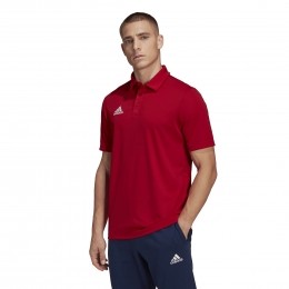 adidasEntrada22PoloRoodWit