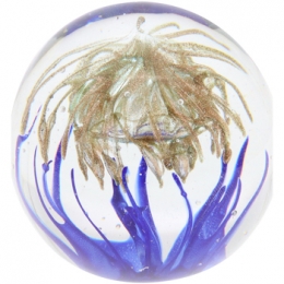 BeeldjesSignesGrimaltPisapapel