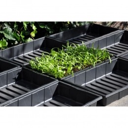 Seedtray375x23x6cm-seta12-Royalwell