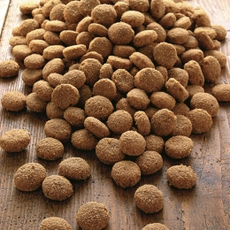 alsa-natureActiefSpeciaalEiwit12kg