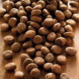 alsa-natureSensigonEendAardappelgranenvrij12kg