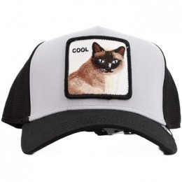 PetGoorinBrosCOOLCAT