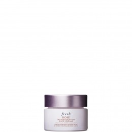 FreshRoseDeepHydrationFaceCreamVariousSizes-15ml