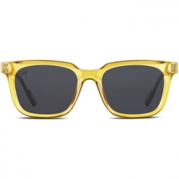 ZonnebrilTwigFlemingSun