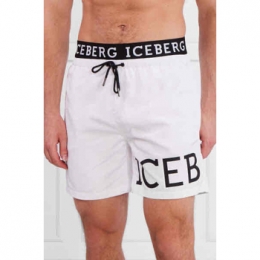 ZwembroekIceberg-