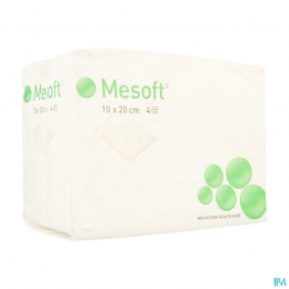 MesoftKpNst4l10x20100156415