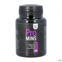 ProminsTabl120