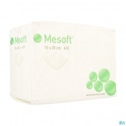 MesoftKpNst4l10x20100156415