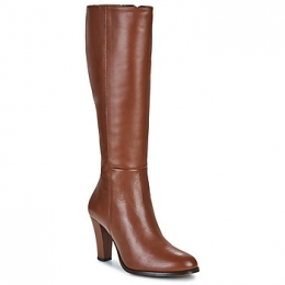 LaarzenFericelliMAIA