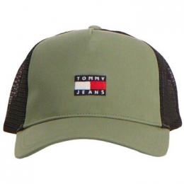 PetTommyJeansAM0AM13287