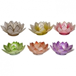 KandelaarskaarshoudersSignesGrimalt6UKaarsenhouder