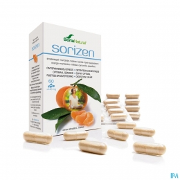 SoriaSorizenComp6010032