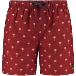 BikiniShiwiZwembroekPalmbomenRood