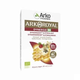 ArkoroyalDynergieAmp20
