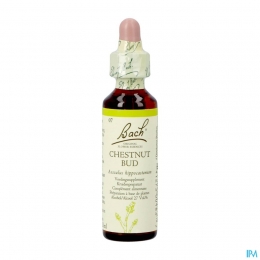 BachFlowerRemedie07ChestnutBud20ml
