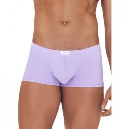BoxersCleverAngelLatinBoxer