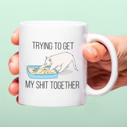 MokTryingtogetmyshittogether
