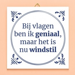 TegeltjeBijvlagenbenikgeniaal