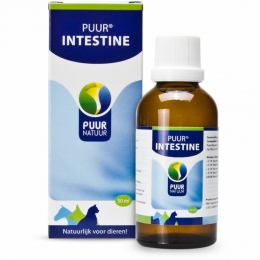 PUURIntestine50ml