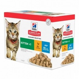 HillsScplanFelineKittenMultipClassic12x85g