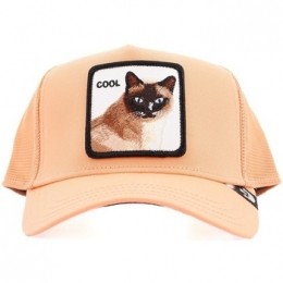 PetGoorinBrosCOOLCAT