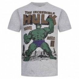 HULKRageMARVELHerenT-shirtFBMTS310SPO