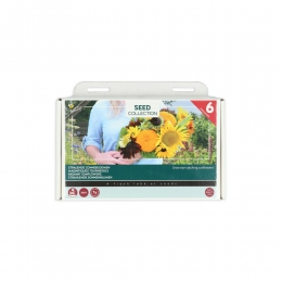 BuzzyCollectionKweekset6StralendeZonnebloemen1set