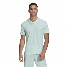 adidasEntrada22VoetbalshirtMintgroenWit