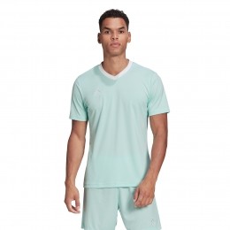 adidasEntrada22VoetbalshirtMintgroenWit