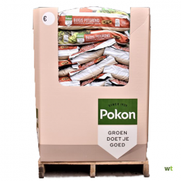 PalletMiniBuxusGrond480liter-Pokon
