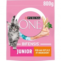 4xPurinaONEJuniorKip800gr
